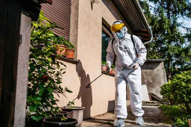 Best Emergency Pest Control  in Scissors, TX