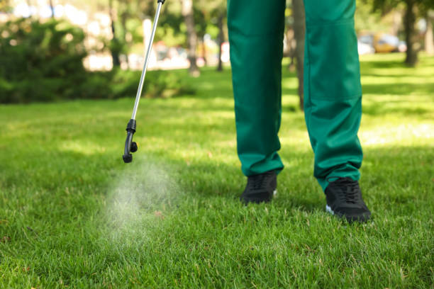 Pest Control Cost in Scissors, TX