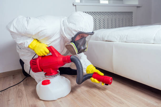 Best Mosquito Control Services  in Scissors, TX