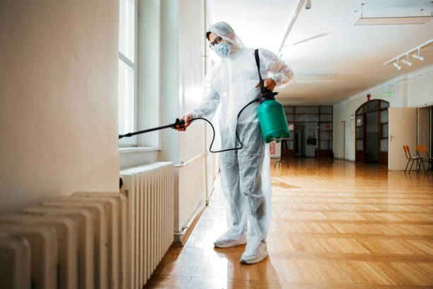 Best Pest Control Near Me  in Scissors, TX