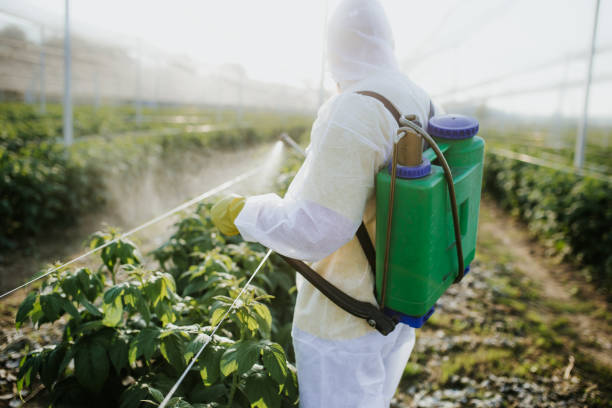 Best Exterminator Services  in Scissors, TX